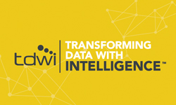 tdwi logo